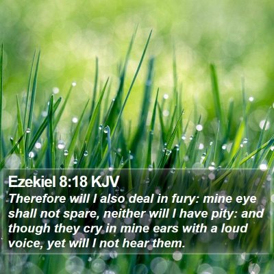 Ezekiel 8:18 KJV Bible Verse Image
