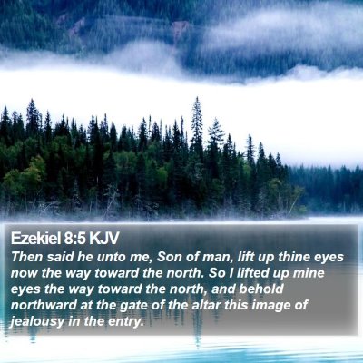 Ezekiel 8:5 KJV Bible Verse Image