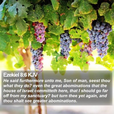 Ezekiel 8:6 KJV Bible Verse Image