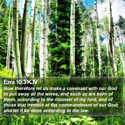 Ezra 10:3 KJV Bible Verse Image