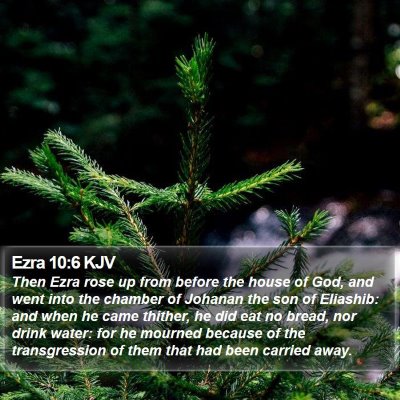 Ezra 10:6 KJV Bible Verse Image