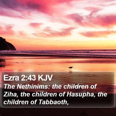 Ezra 2:43 KJV Bible Verse Image