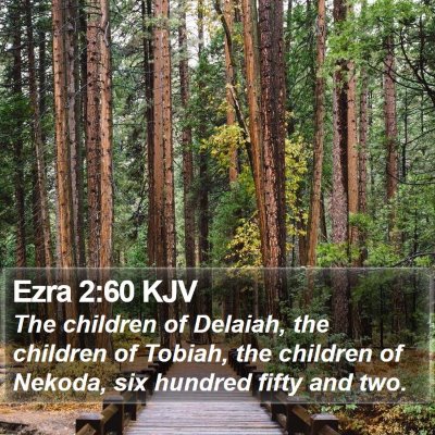 Ezra 2:60 KJV Bible Verse Image