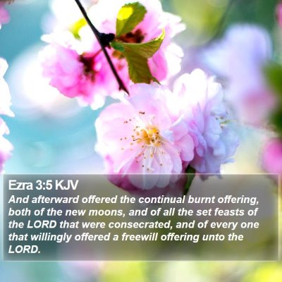 Ezra 3:5 KJV Bible Verse Image
