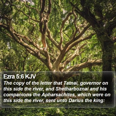 Ezra 5:6 KJV Bible Verse Image
