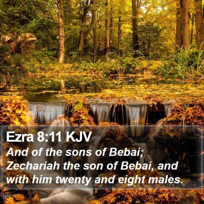 Ezra 8:11 KJV Bible Verse Image