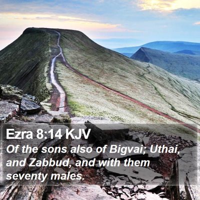 Ezra 8:14 KJV Bible Verse Image