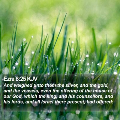 Ezra 8:25 KJV Bible Verse Image
