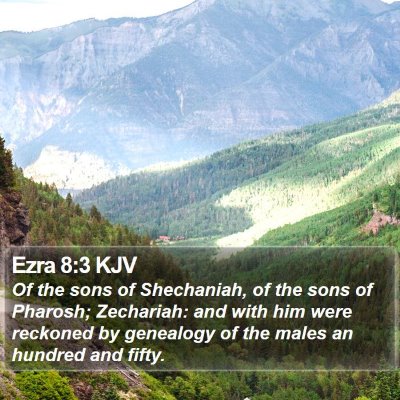 Ezra 8:3 KJV Bible Verse Image
