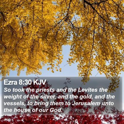 Ezra 8:30 KJV Bible Verse Image