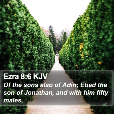 Ezra 8:6 KJV Bible Verse Image