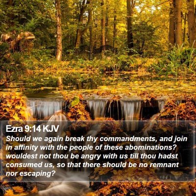 Ezra 9:14 KJV Bible Verse Image