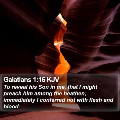 Galatians 1:16 KJV Bible Verse Image