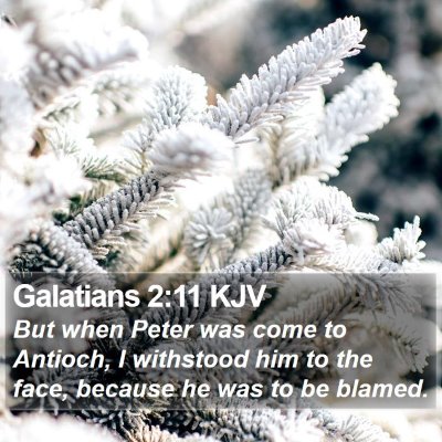 Galatians 2:11 KJV Bible Verse Image