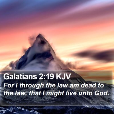 Galatians 2:19 KJV Bible Verse Image