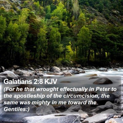 Galatians 2:8 KJV Bible Verse Image