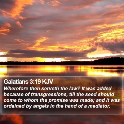 Galatians 3:19 KJV Bible Verse Image