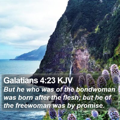 Galatians 4:23 KJV Bible Verse Image