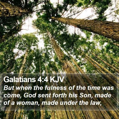 Galatians 4:4 KJV Bible Verse Image