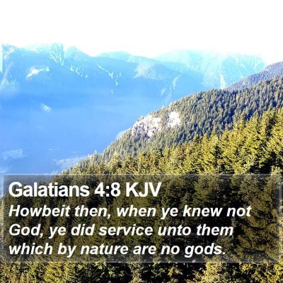 Galatians 4:8 KJV Bible Verse Image