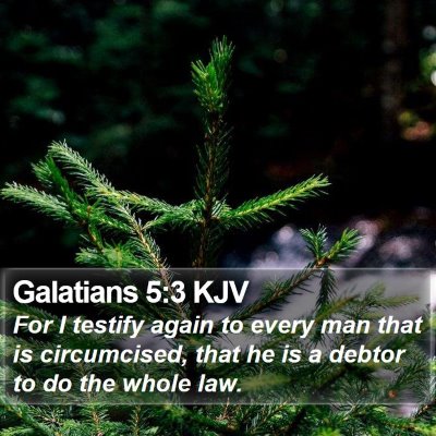 Galatians 5:3 KJV Bible Verse Image