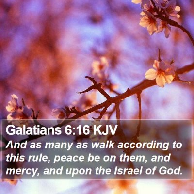 Galatians 6:16 KJV Bible Verse Image