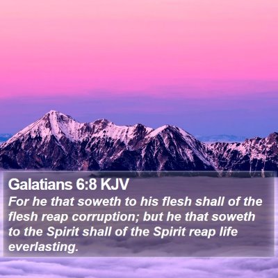 Galatians 6:8 KJV Bible Verse Image