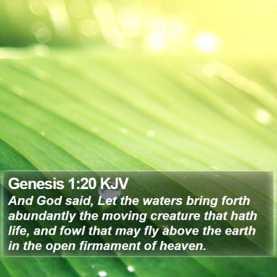 Genesis 1:20 KJV Bible Verse Image