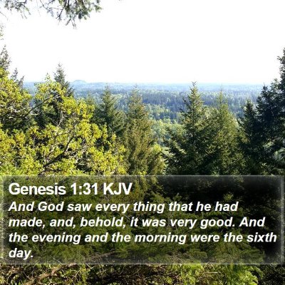 Genesis 1:31 KJV Bible Verse Image