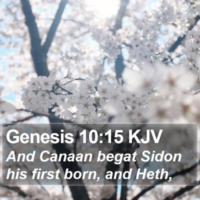 Genesis 10:15 KJV Bible Verse Image