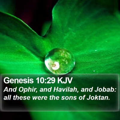Genesis 10:29 KJV Bible Verse Image
