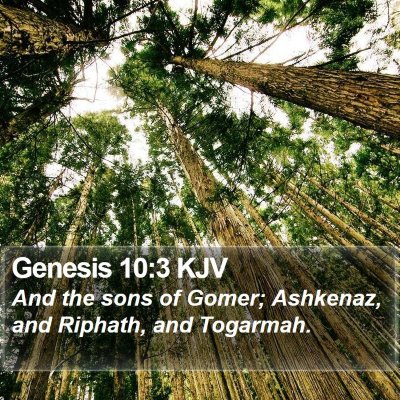 Genesis 10:3 KJV Bible Verse Image