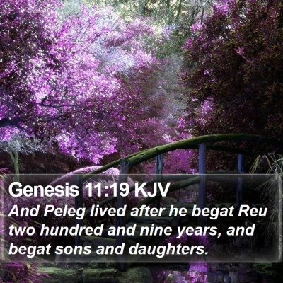Genesis 11:19 KJV Bible Verse Image