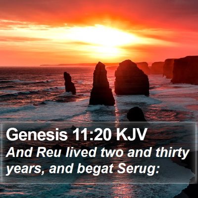 Genesis 11:20 KJV Bible Verse Image