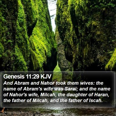 Genesis 11:29 KJV Bible Verse Image
