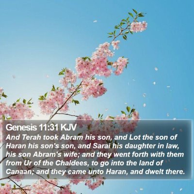 Genesis 11:31 KJV Bible Verse Image