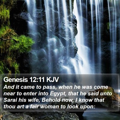 Genesis 12:11 KJV Bible Verse Image
