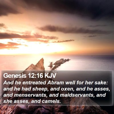 Genesis 12:16 KJV Bible Verse Image