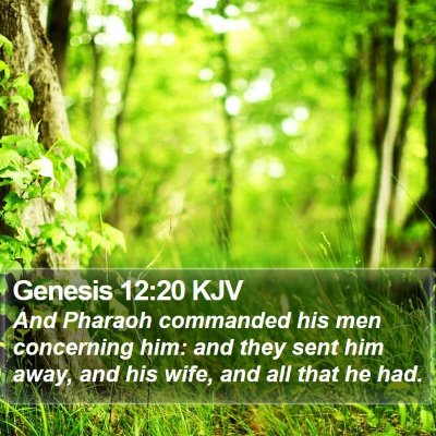 Genesis 12:20 KJV Bible Verse Image