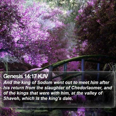 Genesis 14:17 KJV Bible Verse Image