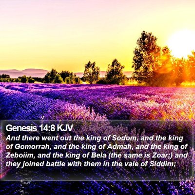 Genesis 14:8 KJV Bible Verse Image