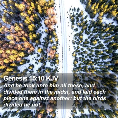 Genesis 15:10 KJV Bible Verse Image