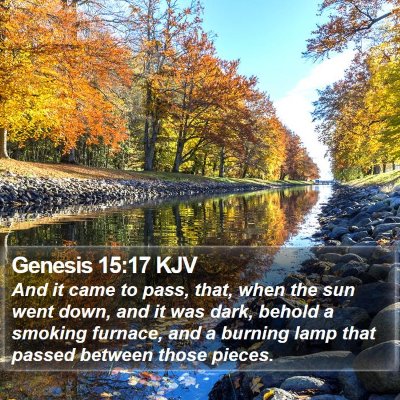 Genesis 15:17 KJV Bible Verse Image