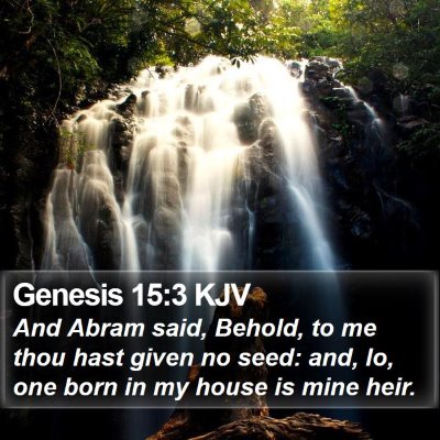 Genesis 15:3 KJV Bible Verse Image