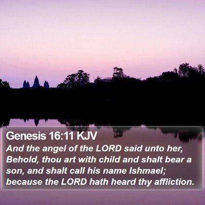 Genesis 16:11 KJV Bible Verse Image