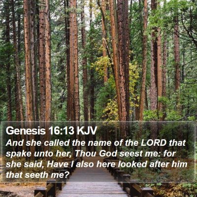 Genesis 16:13 KJV Bible Verse Image