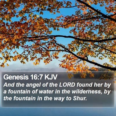 Genesis 16:7 KJV Bible Verse Image
