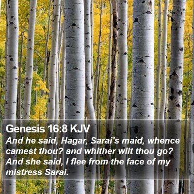 Genesis 16:8 KJV Bible Verse Image