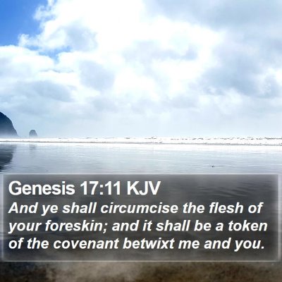 Genesis 17:11 KJV Bible Verse Image