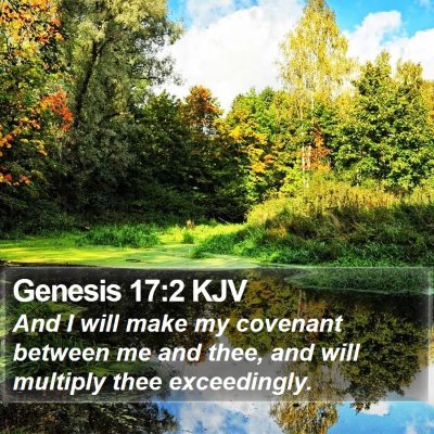Genesis 17:2 KJV Bible Verse Image